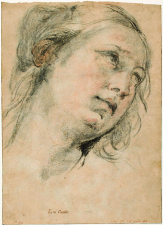 The Head of a Young Woman Looking Upward